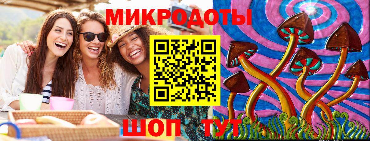 Галлюциногенные грибы Psilocybine cubensis  где найти   Галлюциногенные грибы Cubensis  Подольск  Вход с VPN 